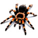 learn more about our search engine optimization services